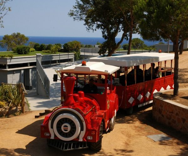 Camping Cala Gogo treintje
