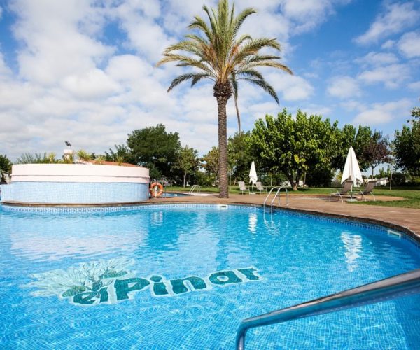 Camping El Pinar zwembad met palbomen