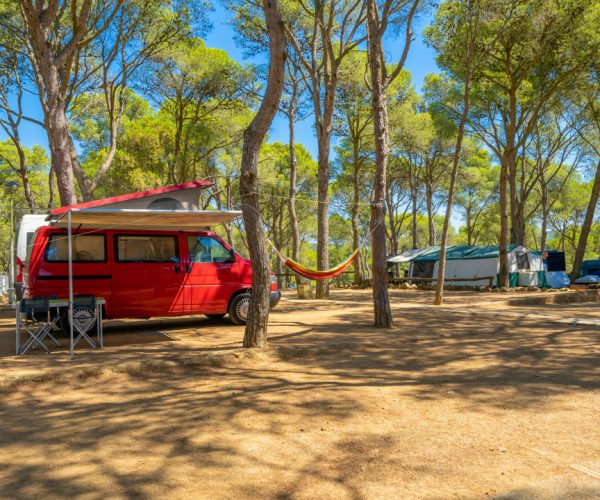 Camping Kim's staanplaatsen